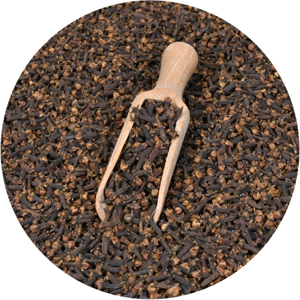 Clous de girofle entiers de Madagascar et petite pelle en bois